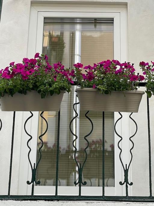 Apartamento Grazioso Monolocale Milán Exterior foto